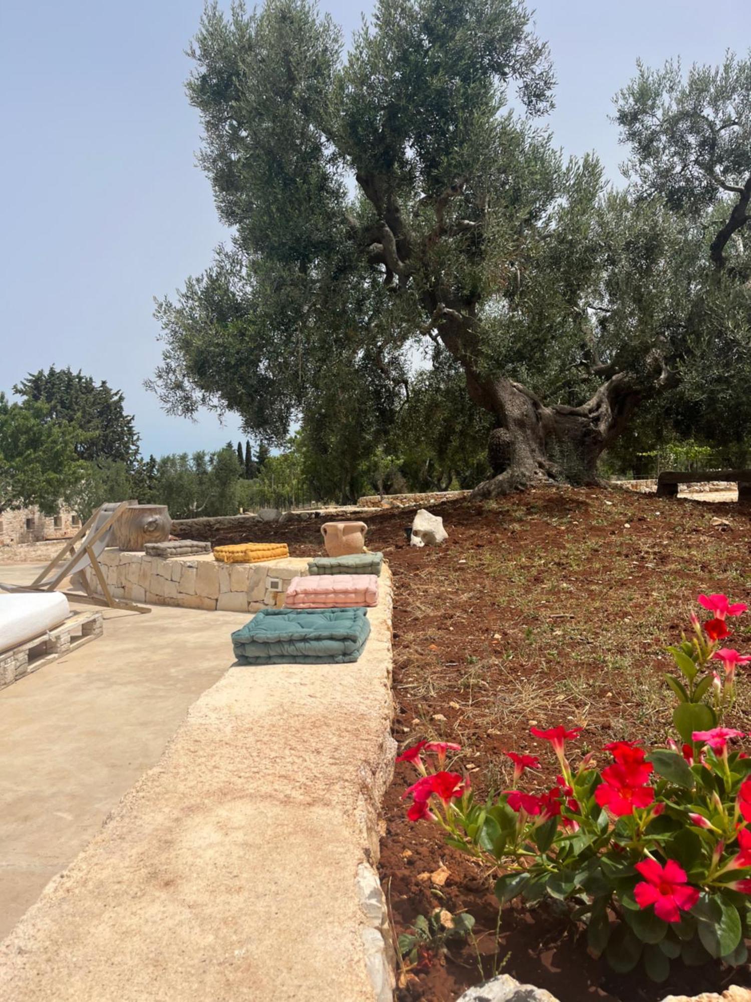 Villa Dominique Relax A Pochi Kilometri Dal Mare Carovigno Exteriér fotografie